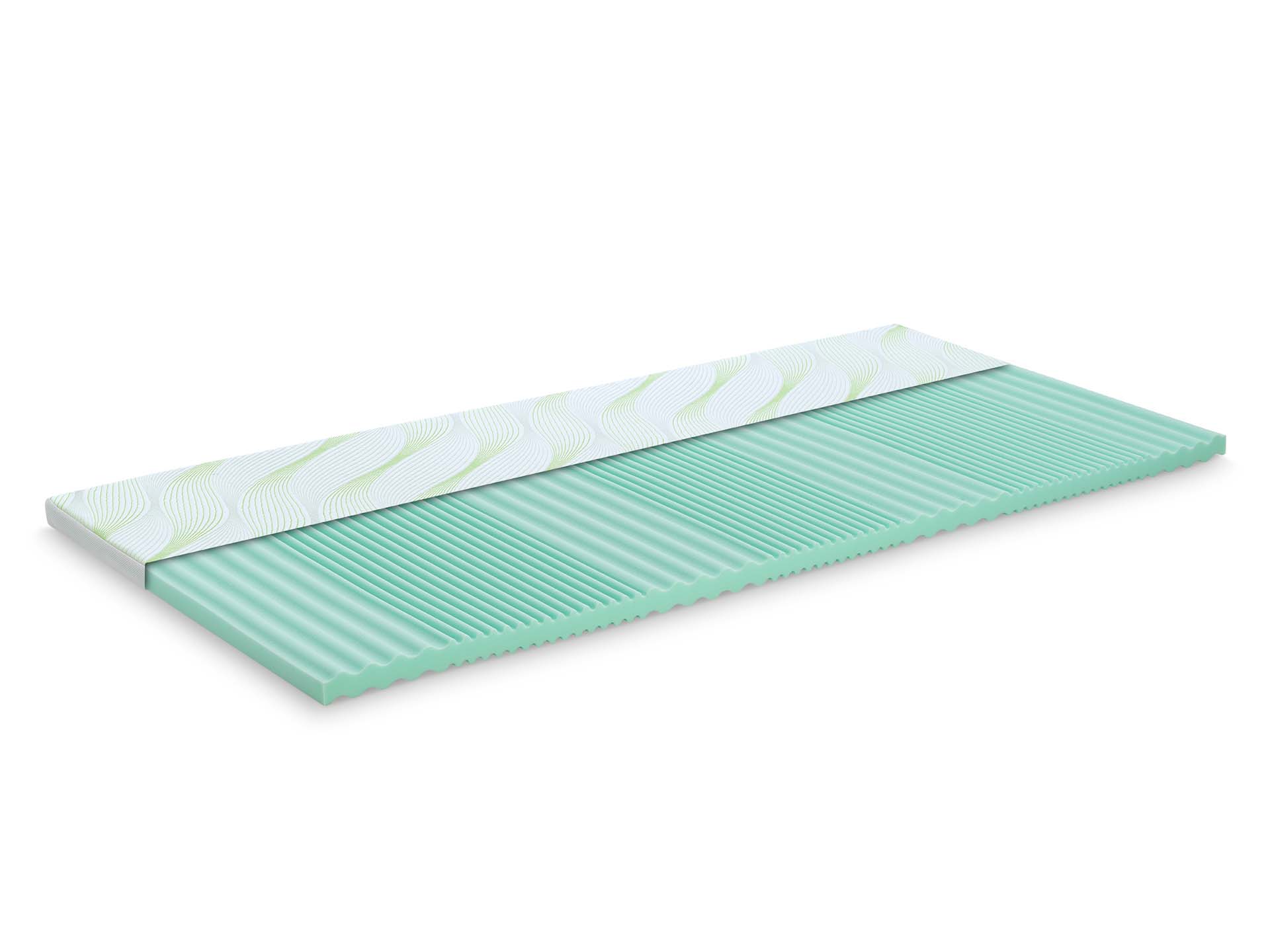 Topper 5 cm Aloe Vera Vitalis 2în1